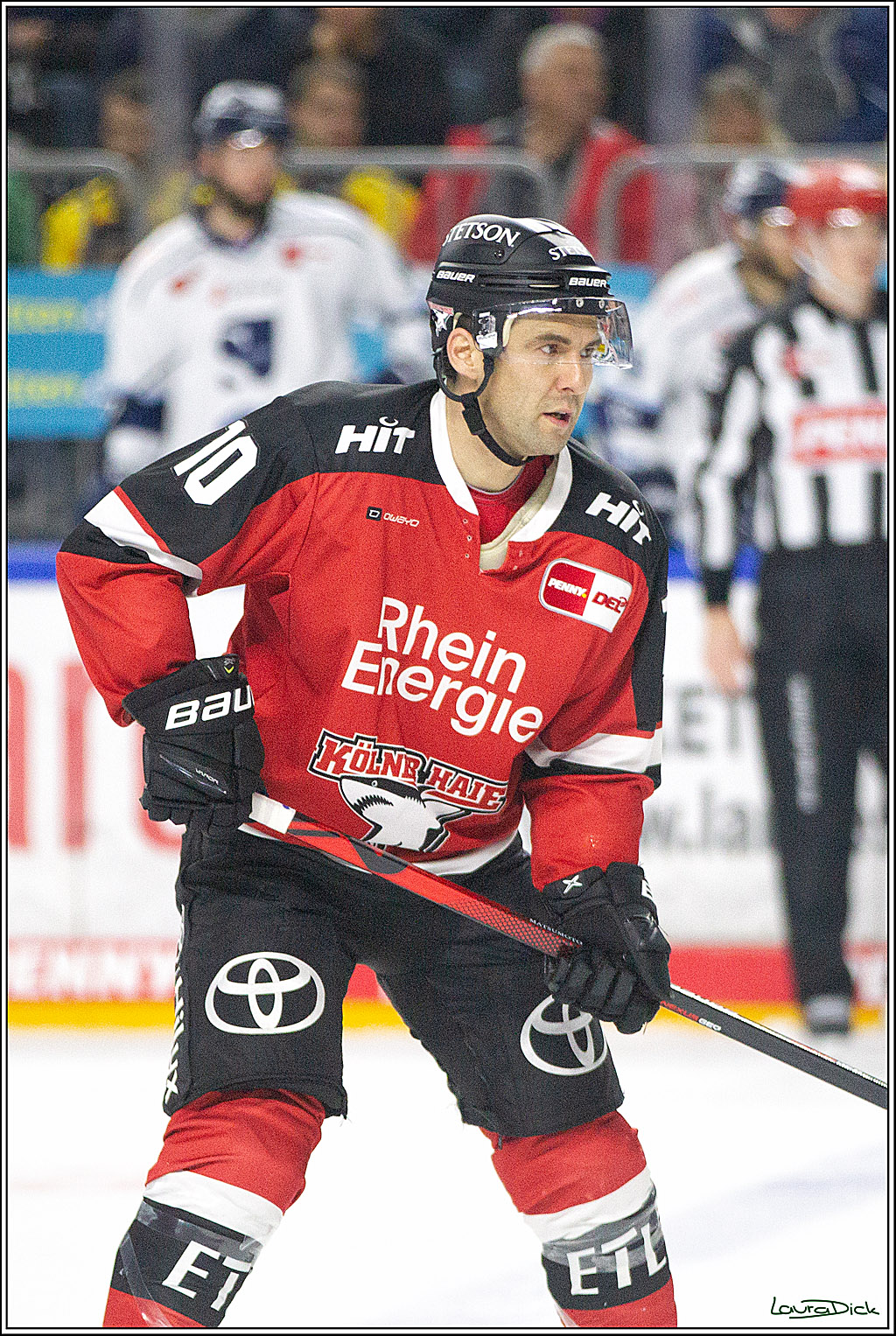 PENNY DEL;  Koelner Haie - Straubing Tigers; Koeln, 15.10.2021